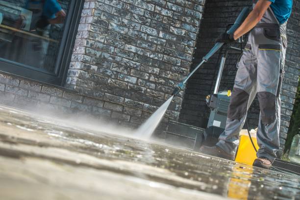 Animal Enclosure Cleaning in Allentown, NJ